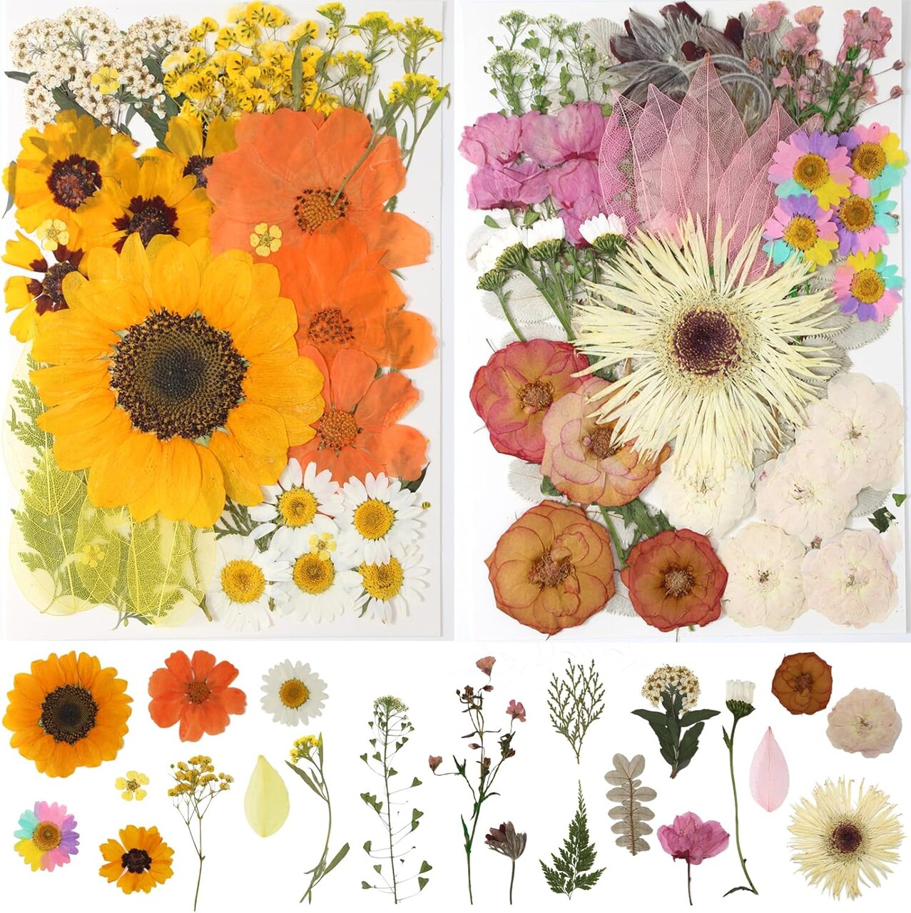 100-Piece Colorful Dried Pressed Flowers for Crafts – Real Mixed Daisy Flowers & Leaves for Resin, Jewelry, Nail Art, Candle, Soap, Scrapbooking, and DIY Projects
